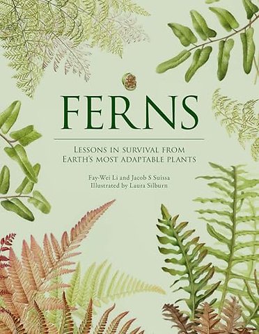 Ferns