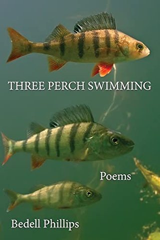 Three Perch Swimming