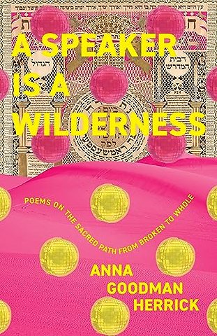 A Speaker is a Wilderness