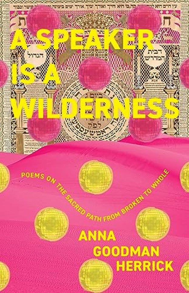 A Speaker is a Wilderness