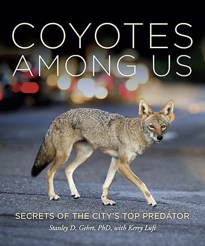 Coyotes Among Us