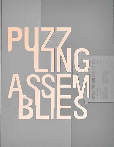 Puzzling Assemblies