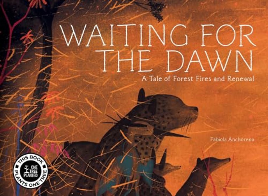 Waiting for the Dawn