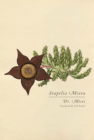 Stapelia Mixta