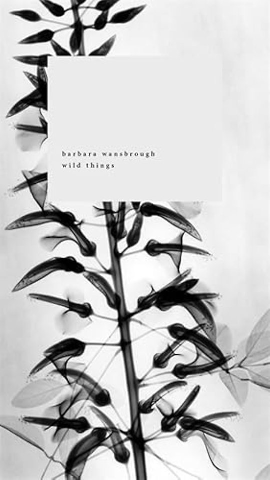 Wild Things – A Geography of Grief