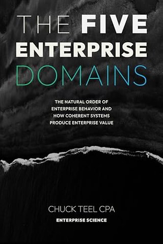 The Five Enterprise Domains