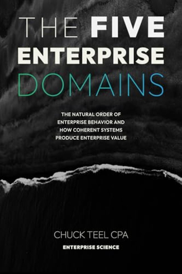The Five Enterprise Domains