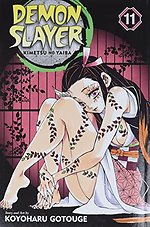 Demon Slayer: Kimetsu No Yaiba, Vol. 11