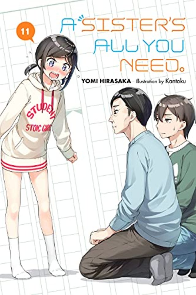 A Sister's All You Need., Vol. 11 (light novel)