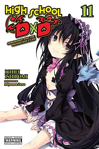 High School DxD, Vol. 11 (light novel)