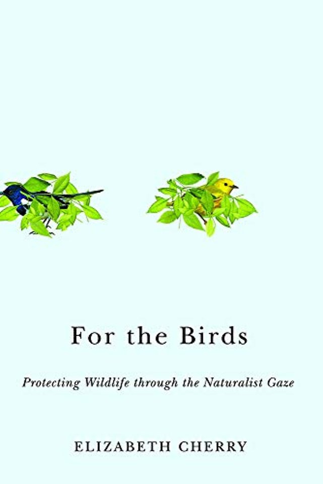 For the Birds – Protecting Wildlife Through the Naturalist Gaze