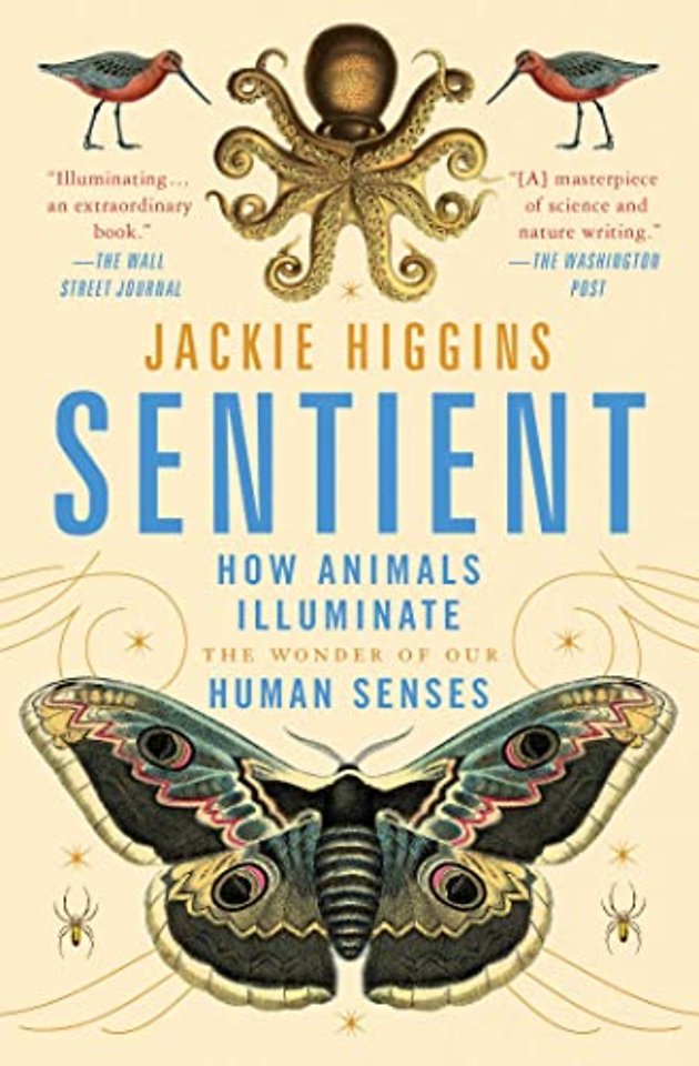 Sentient