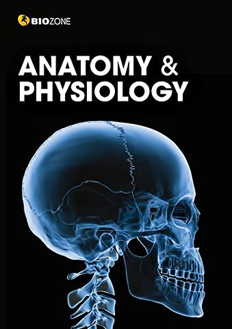 Anatomy and Physiology