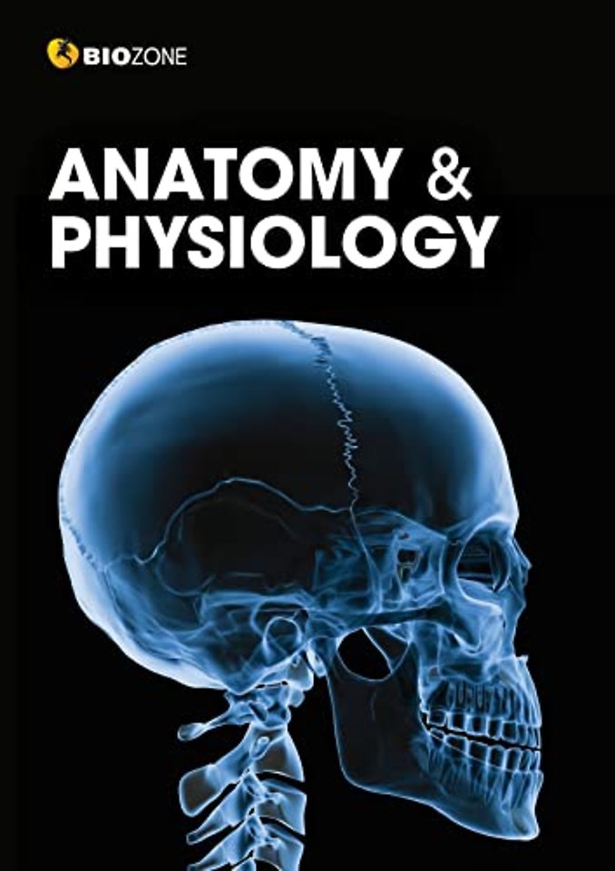 Anatomy and Physiology