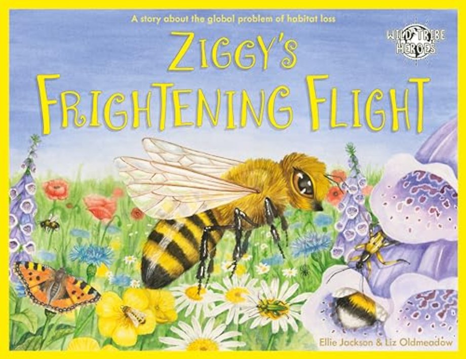 Ziggy's Frightening Flight