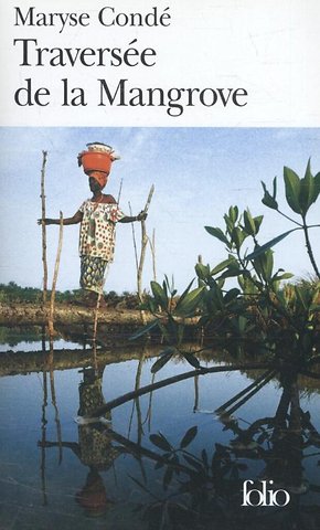 Traversee de la mangrove