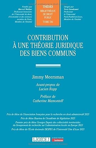 Contribution à une théorie juridique des biens communs