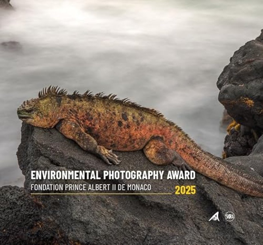 Environmental Photography Award 2025 (Bilingual edition)