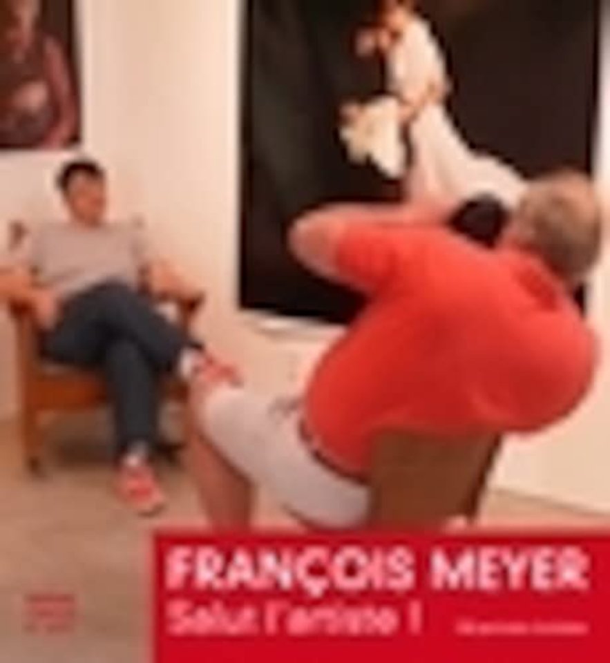 Artists' Portraits: Francois Meyer