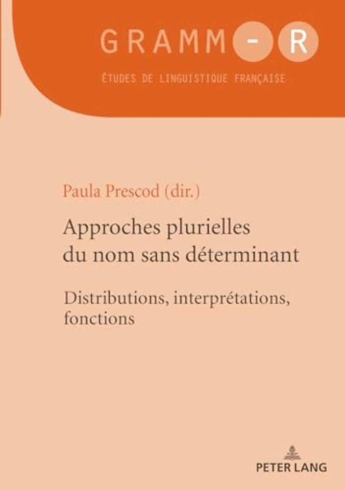 Approches Plurielles Du Nom Sans Determinant