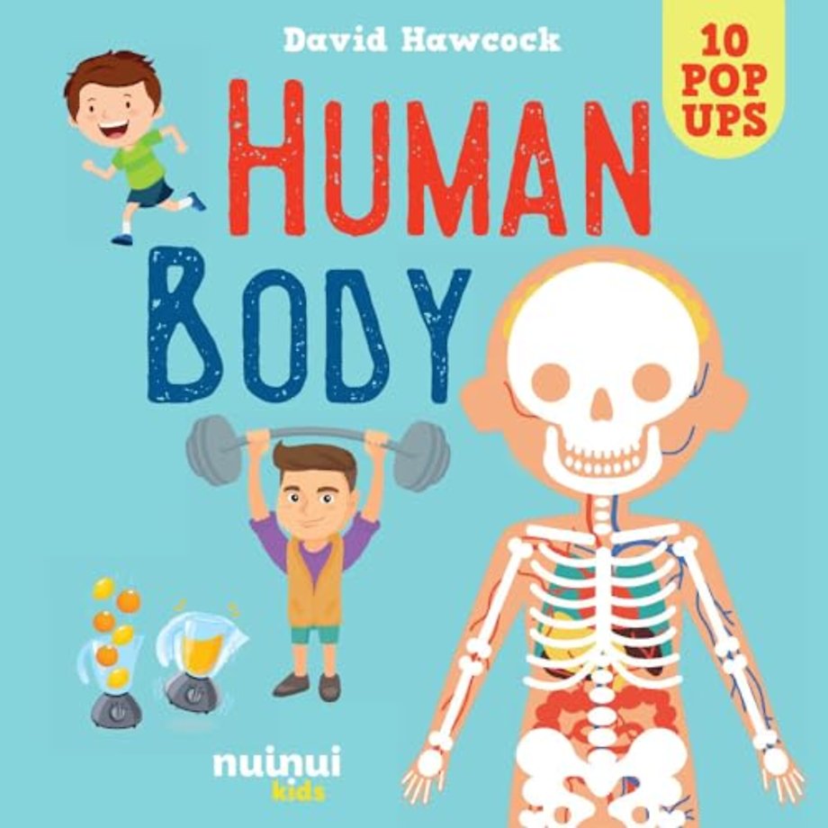 Human Body