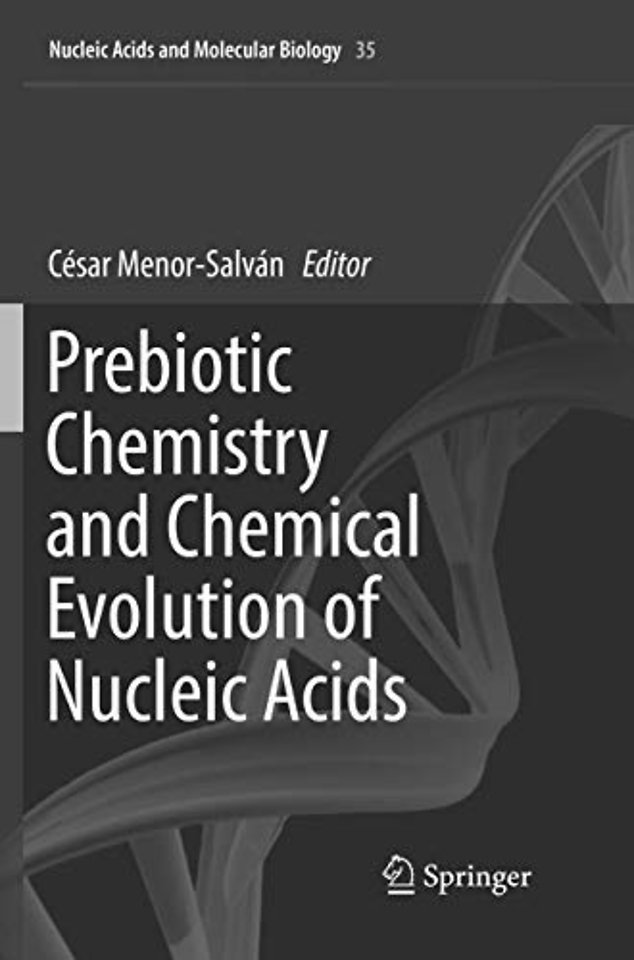 Prebiotic Chemistry and Chemical Evolution of Nucleic Acids