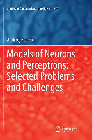 Models of Neurons and Perceptrons: Selected Problems and Challenges