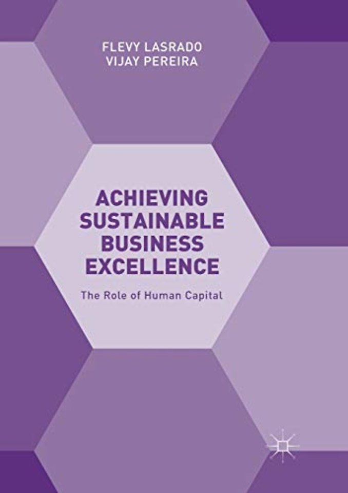 Achieving Sustainable Business Excellence