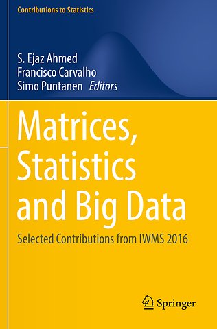 Matrices, Statistics and Big Data
