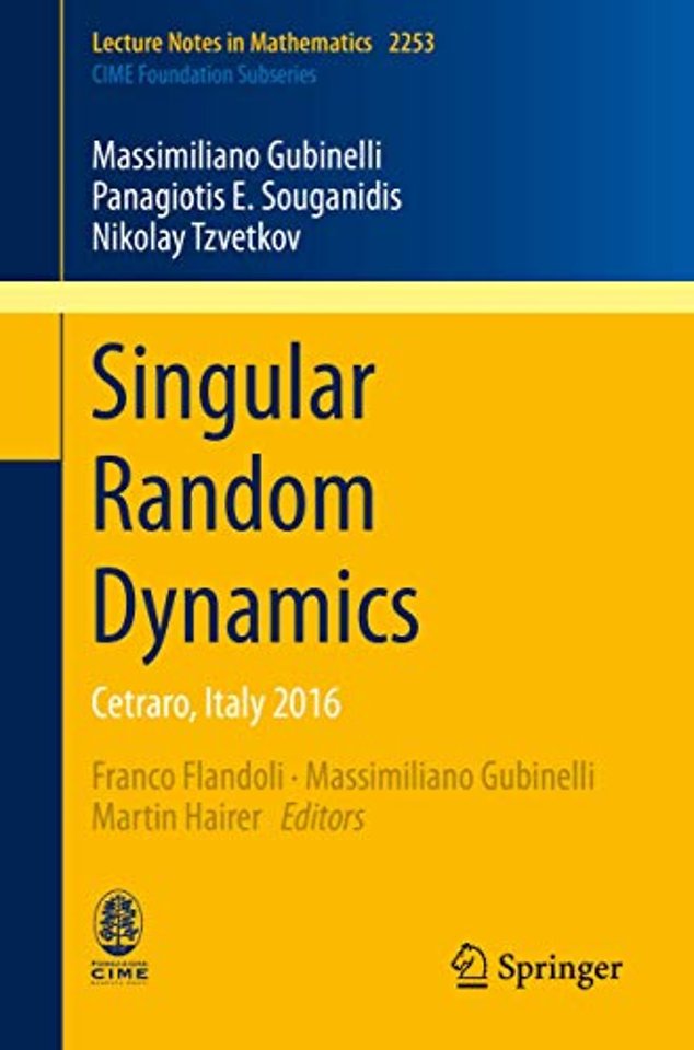 Singular Random Dynamics 