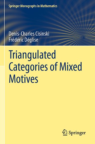 Triangulated Categories of Mixed Motives