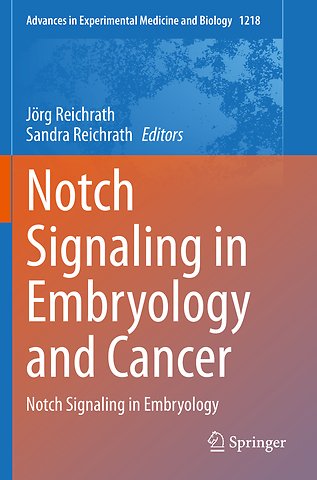 Notch Signaling in Embryology and Cancer