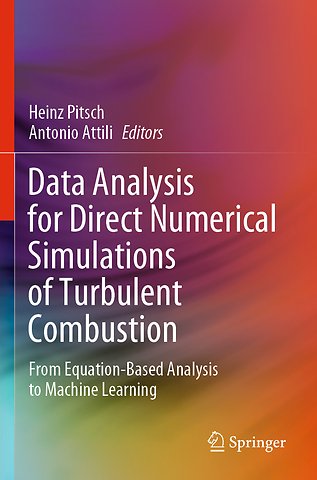 Data Analysis for Direct Numerical Simulations of Turbulent Combustion