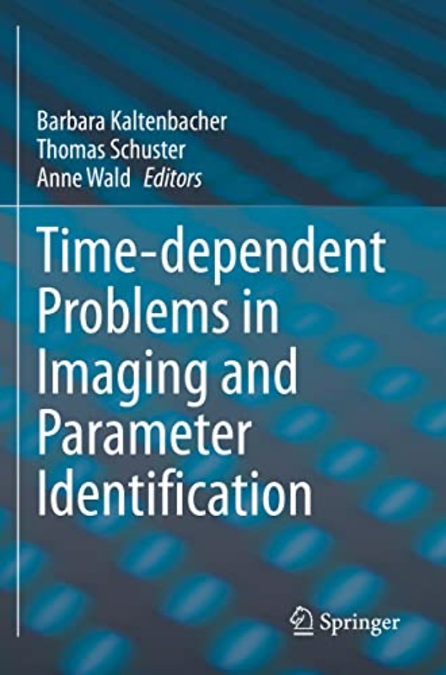 Time-dependent Problems in Imaging and Parameter Identification