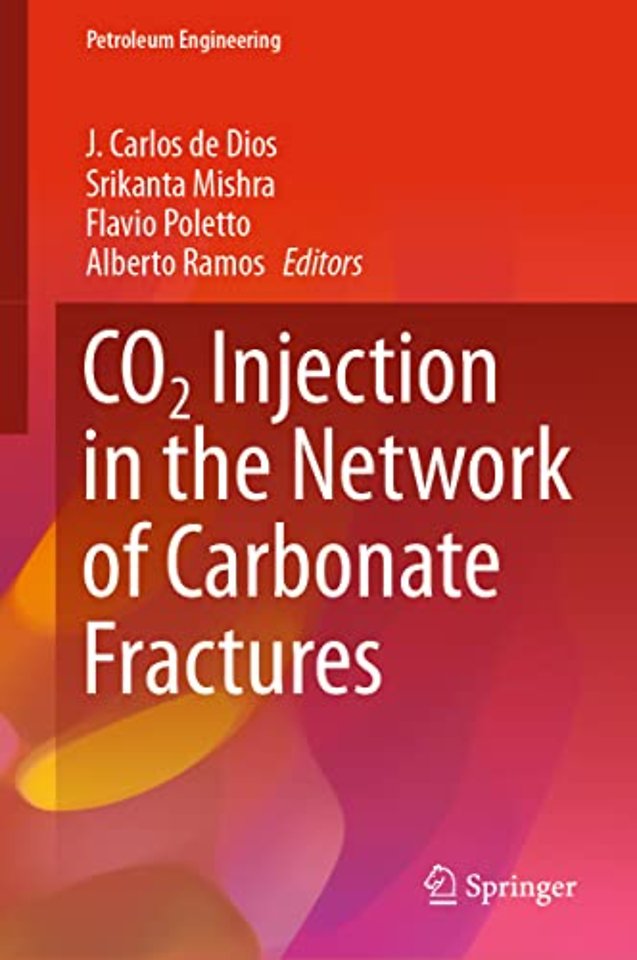 CO2 Injection in the Network of Carbonate Fractures