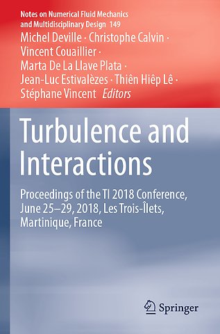 Turbulence and Interactions
