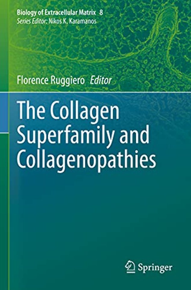 The Collagen Superfamily and Collagenopathies