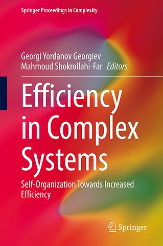 Efficiency in Complex Systems