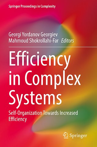 Efficiency in Complex Systems