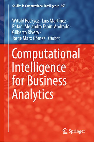 Computational Intelligence for Business Analytics