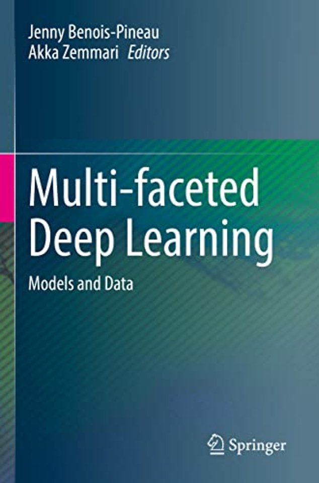 Multi-faceted Deep Learning