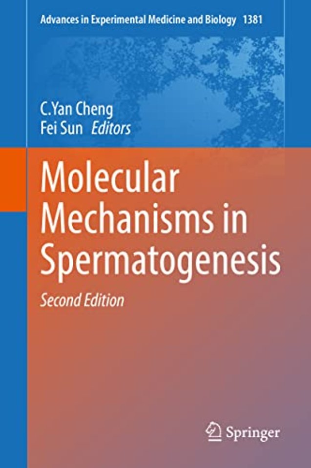 Molecular Mechanisms in Spermatogenesis