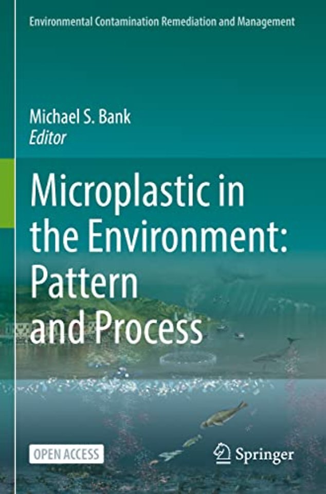 Microplastic in the Environment: Pattern and Process