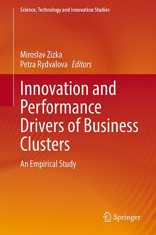 Innovation and Performance Drivers of Business Clusters