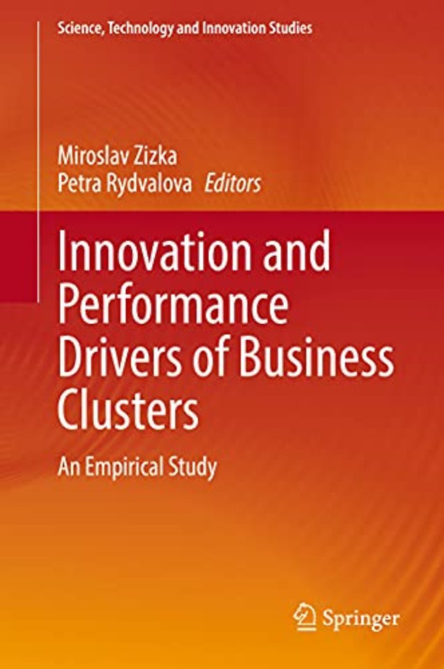Innovation and Performance Drivers of Business Clusters