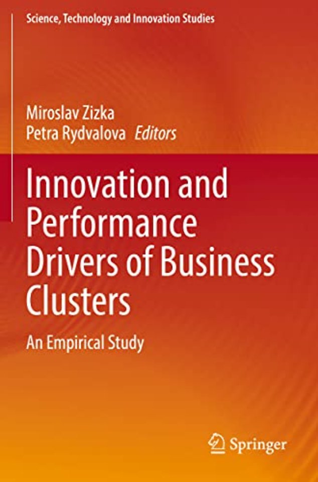 Innovation and Performance Drivers of Business Clusters