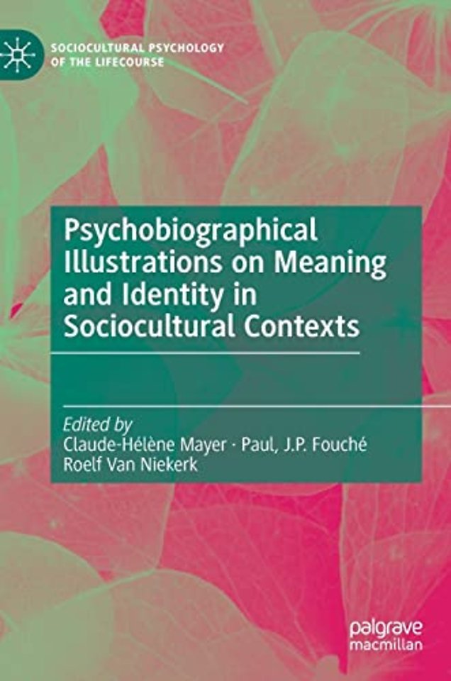 Psychobiographical Illustrations on Meaning and Identity in Sociocultural Contexts