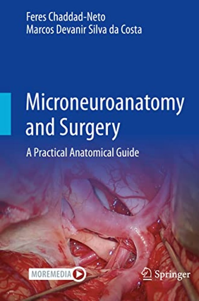Microneuroanatomy and Surgery