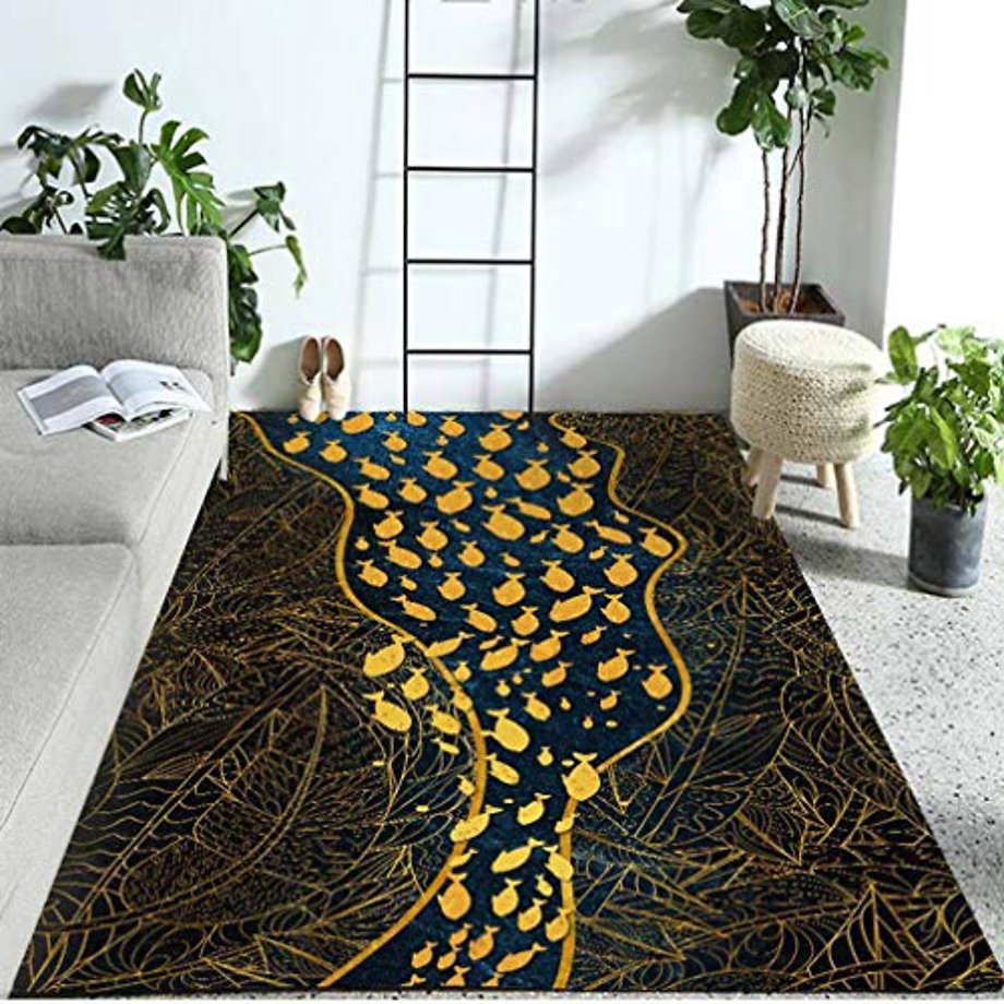 Thermal Cameras in Science Education