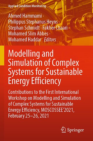 Modelling and Simulation of Complex Systems for Sustainable Energy Efficiency